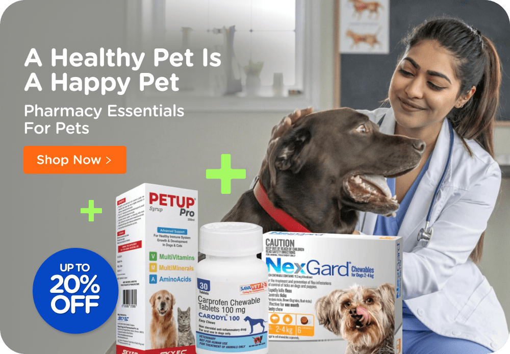 Online Pet Store Shop Pet Supplies and Products Supertails