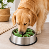 Talking Dog Club Universal Silicone Slow Feeder Bowl Attachment for Dogs and Cats (Green) Both-Bowls & Feeders Talking Dog Club Dropship