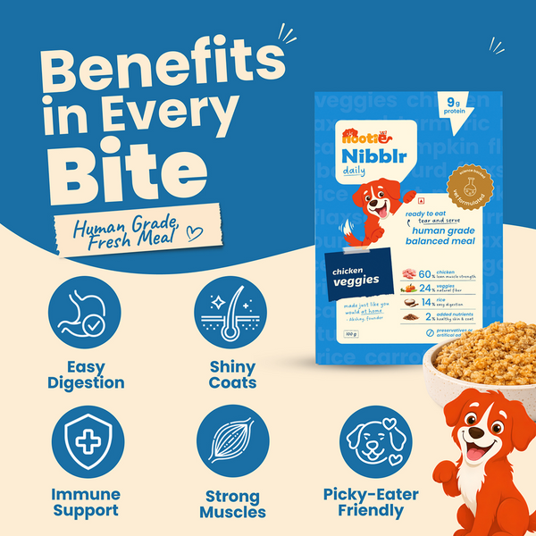 Nootie Nibblr Fresh Wholesome Ready to Eat Meal Daily Chicken Veggie And Rice Dog Wet Food