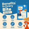 Nootie Nibblr Fresh Wholesome Ready to Eat Meal Daily Chicken Veggie And Rice Dog Wet Food Dogs-Fresh Food Nootie