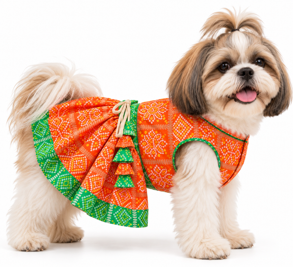 Pawgy Pets Festive Dress for Dogs (Orange & Green)