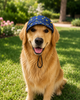 Pawgypets Denim Yellow Star Cap and Bandana Set for Dogs and Cats Both-Clothing & Accessories Pawgypets Dropship