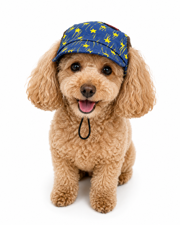 Pawgypets Denim Yellow Star Cap and Bandana Set for Dogs and Cats
