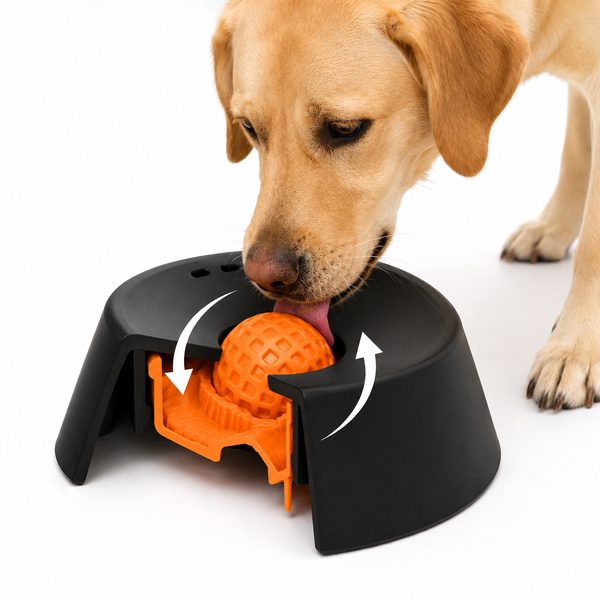 Talking Dog Club Lickables Spin Flow Slow Feeder Bowl for Dogs and Cats