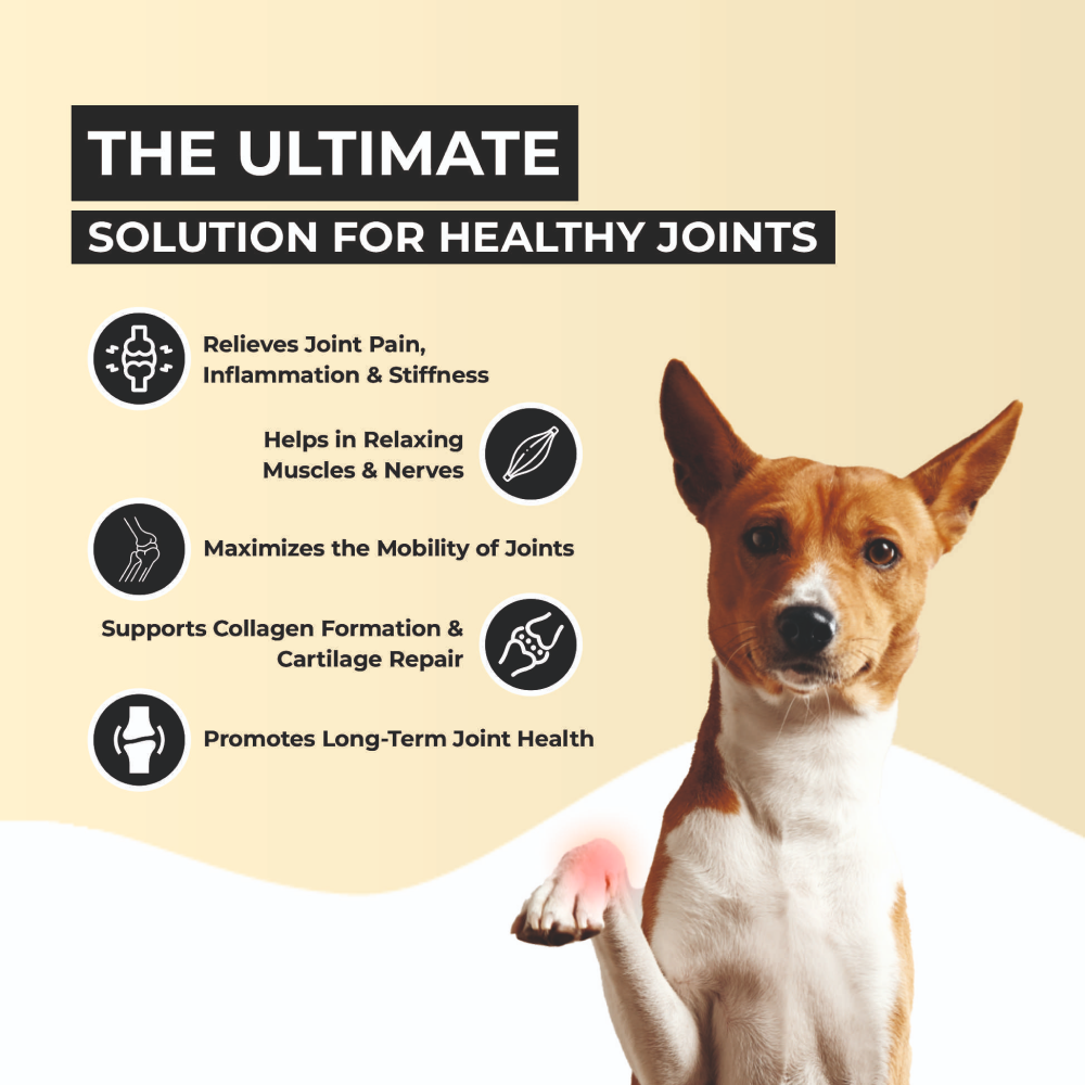 FurBall Story Jump O Joint Care Oil for Dogs and Cats Both-Health & Wellness Furball Story
