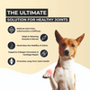 FurBall Story Jump O Joint Care Oil for Dogs and Cats Both-Health & Wellness Furball Story