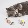 Barkbutler x Fofos Interactive Catnip Chic Toy for Cats Cats-Toys Barkbutler