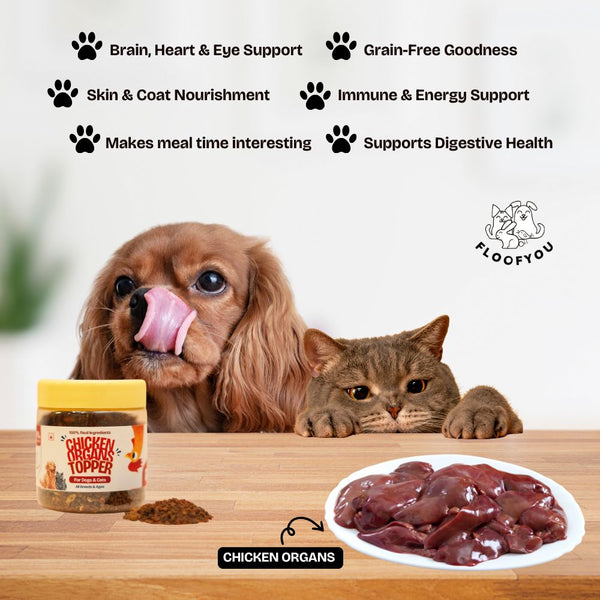 FloofYou Chicken Organs Topper for Dogs & Cats
