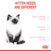 Royal Canin Kitten Cat Dry Food Cats- Dry food Royal Canin