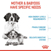 Royal Canin Medium Starter Dry Food for Medium Breed Dog and Puppies Dogs- Dry Food Royal Canin