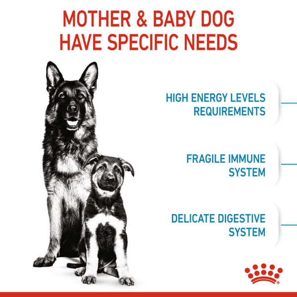 Royal Canin Maxi Starter Dry Dog Food