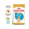 Royal Canin Labrador Retriever Puppy Dog Dry Food Dogs- Dry Food Royal Canin
