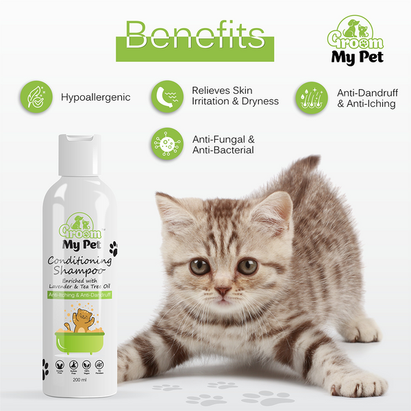Groom My Pet Anti Itch & Dandruff Conditioning Shampoo for Cats