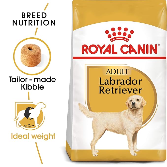 Royal Canin Labrador Retriever Adult Dog Dry Food Dogs- Dry Food Royal Canin