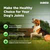IAMS Proactive Health Dog Supplement For Joint Support
