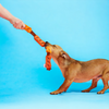 Talking Dog Club Sausage Rope Plush Toy for Dogs (Red) Dogs-Toys Talking Dog Club Dropship