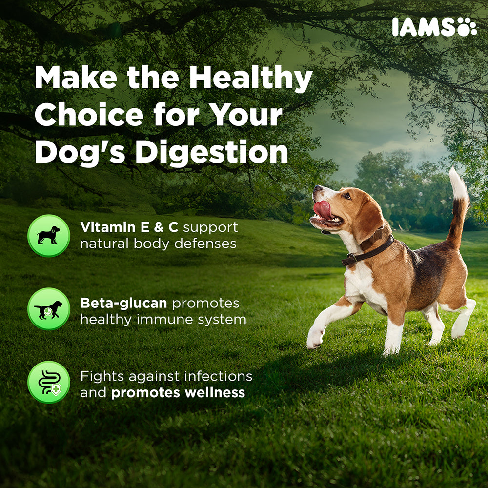IAMS Proactive Health Dog Supplement For Healthy Immune System (Limited Shelf Life)