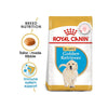 Royal Canin Golden Retriever Puppy Dog Dry Food Dogs- Dry Food Royal Canin