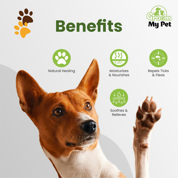 Groom My Pet Paw Butter for Dogs and Cats