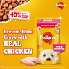 Pedigree Chicken and Liver Chunks in Gravy Pouch Puppy Dog Wet Food (130g)