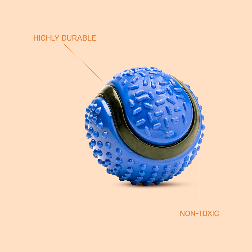 Kibbo Non Toxic Dotted Rubber Big Ball Chew Toy for Dogs and Cat (Blue) Both-Toys Kibbo