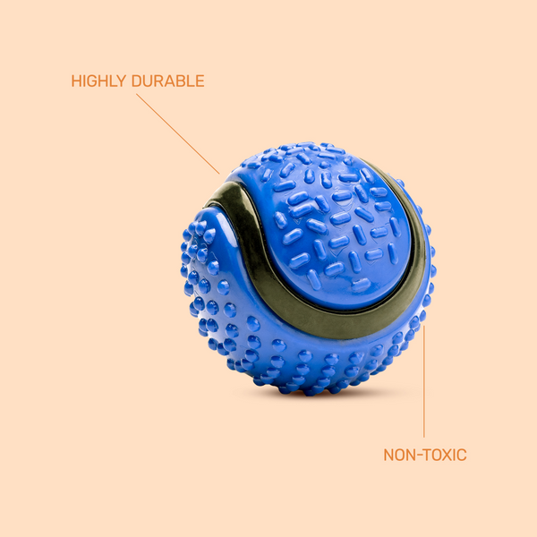 Kibbo Non Toxic Dotted Rubber Big Ball Chew Toy for Dogs and Cat (Blue)