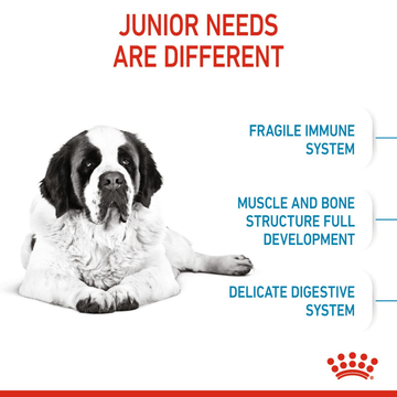 Royal Canin Giant Junior Dog Dry Food