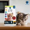 Hachi Wilson Premium Ocean Fish Kitten Dry Food Cats- Dry food Hachi Wilson