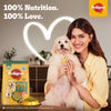 Pedigree 100% Vegetarian Puppy and Adult Veg Dog Dry Food Dogs- Dry Food Pedigree