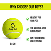 Chip Chops Chicken Tenders Dog Treats, Pet Vogue Blue Sandal Shaped Plush Toy & Goofy Tails Green Sport Tennis Ball Toy Combo for Dogs Exclusive Combo Exclusive Combo