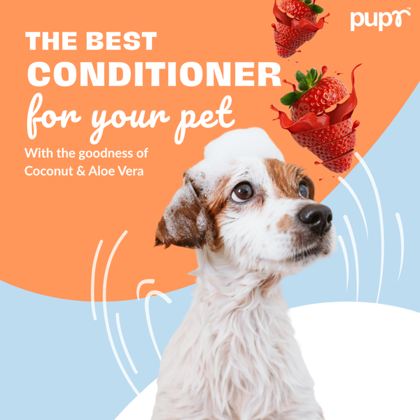 Pupr Moisturizing Strawberry Flavoured Conditioner for Dogs