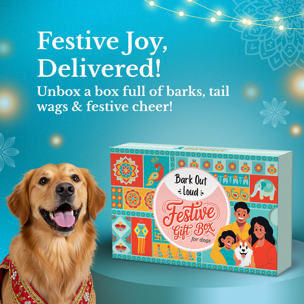 Bark Out Loud Festive Gift Box for Dogs