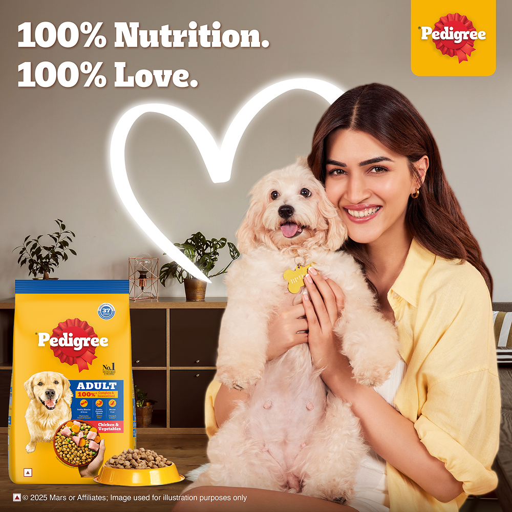 Pedigree Chicken and Vegetables Adult Dog Dry Food Dogs- Dry Food Pedigree