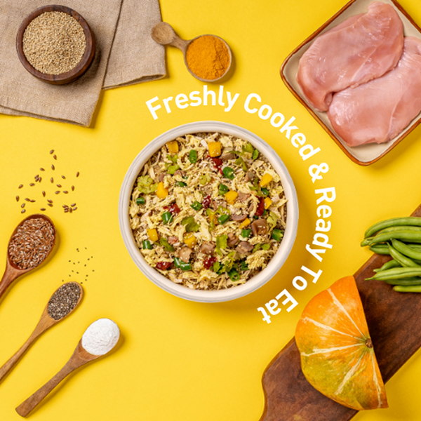 Homiee & Ginger Gluten Free Mini Meals Chicken & Quinoa Fresh Food for Dogs