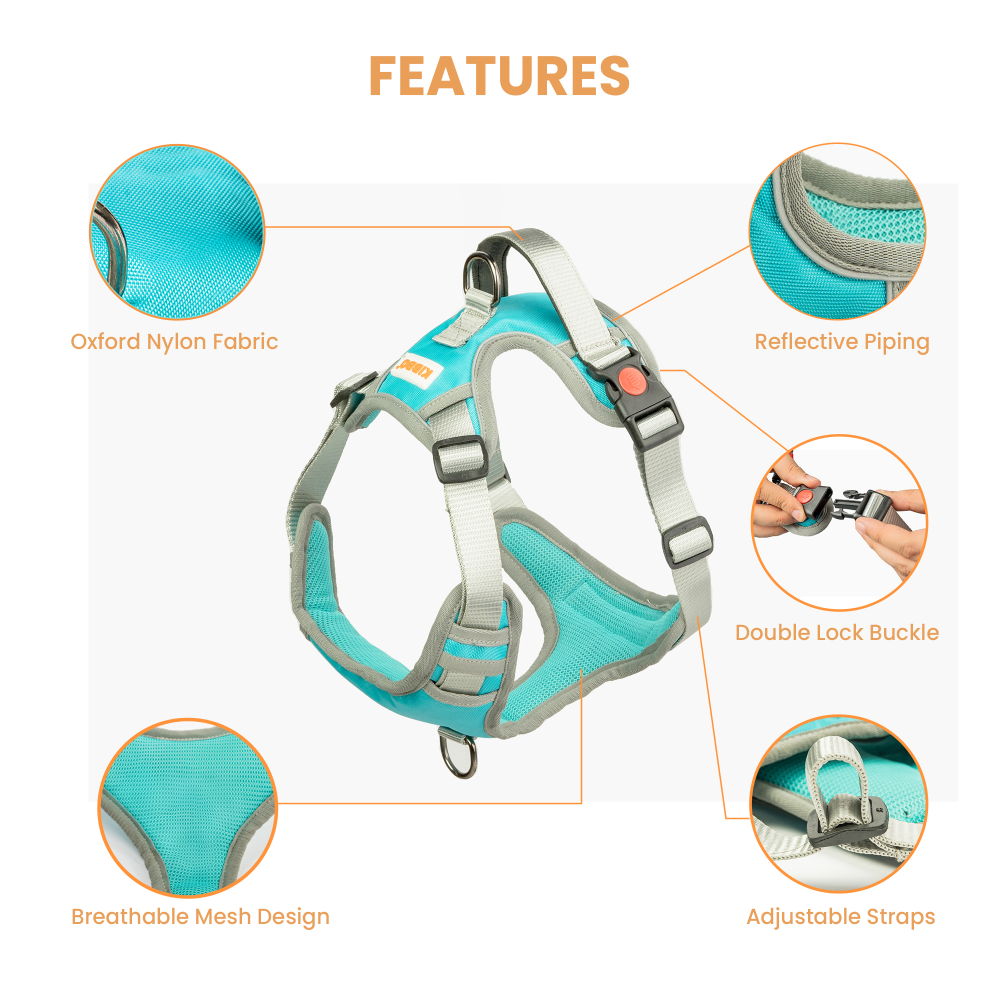 Kibbo Reflective Vest Harness with Dual Lock Buckle for Dogs (Sea Green)