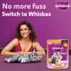Whiskas Kitten Cat Food Combo |Ocean Fish Dry & Chicken with Salmon in Jelly in Gravy Wet