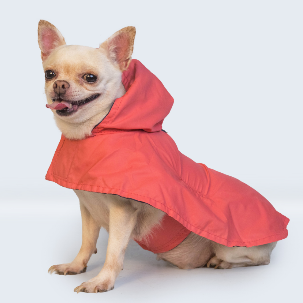 Pet Set Go Cape Style Raincoat for Dogs (Red)