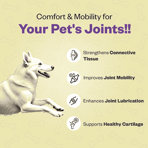 TailsAlive Hip & Joint Chicken Flavor Soft Chews Supplements for Dogs Dogs-Health & Wellness TailsAlive
