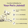 TailsAlive Hip & Joint Chicken Flavor Soft Chews Supplements for Dogs Dogs-Health & Wellness TailsAlive