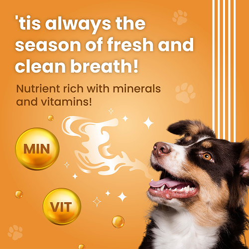 Bark Out Loud by Vivaldis Dental Sticks Dog Treats Dog Treats + Others Bark Out Loud