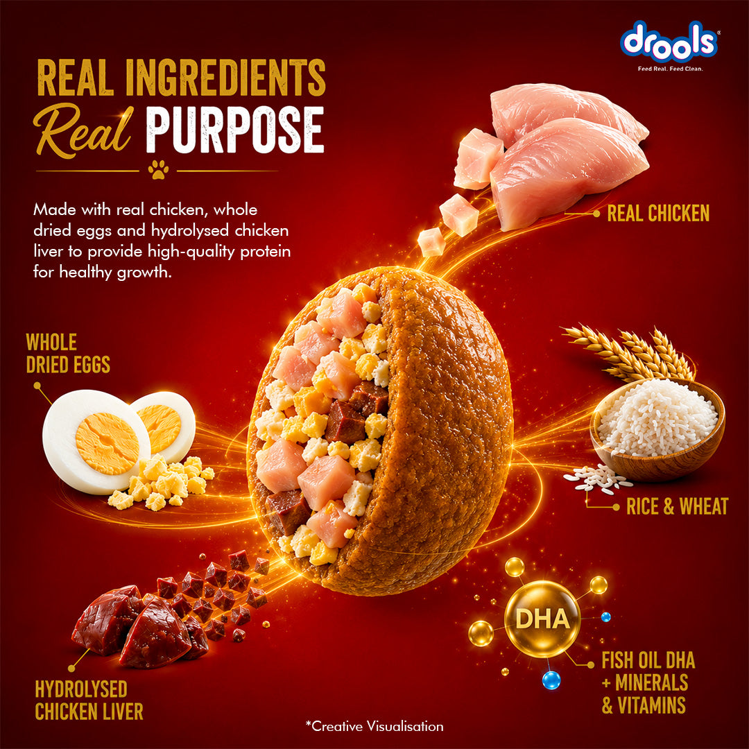 Drools Chicken and Egg Puppy Dog Dry Food Dogs- Dry Food Drools
