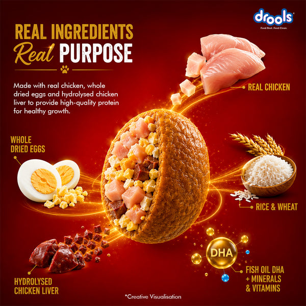 Drools Chicken and Egg Puppy Dog Dry Food