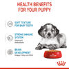 Royal Canin Medium Starter Dry Food for Medium Breed Dog and Puppies and Medium Puppy Dog Wet Food Combo Exclusive Combo Royal Canin