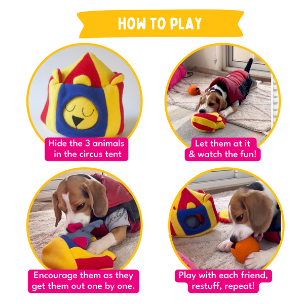 For The Love Of Dog Hide and Seek Squeaky Circus Toy for Dogs