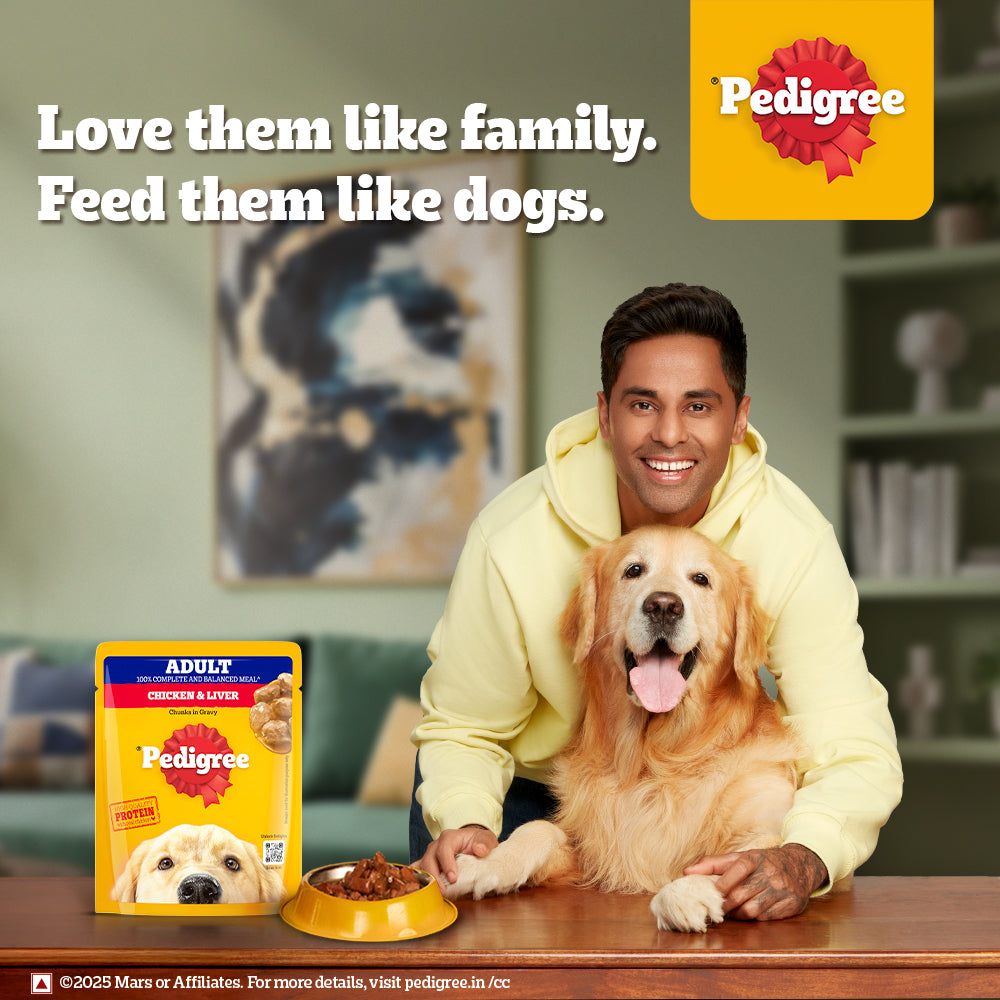 Pedigree Chicken and Liver Chunks in Gravy Adult Dog Wet Food (70g) Dogs-Wet Food Pedigree