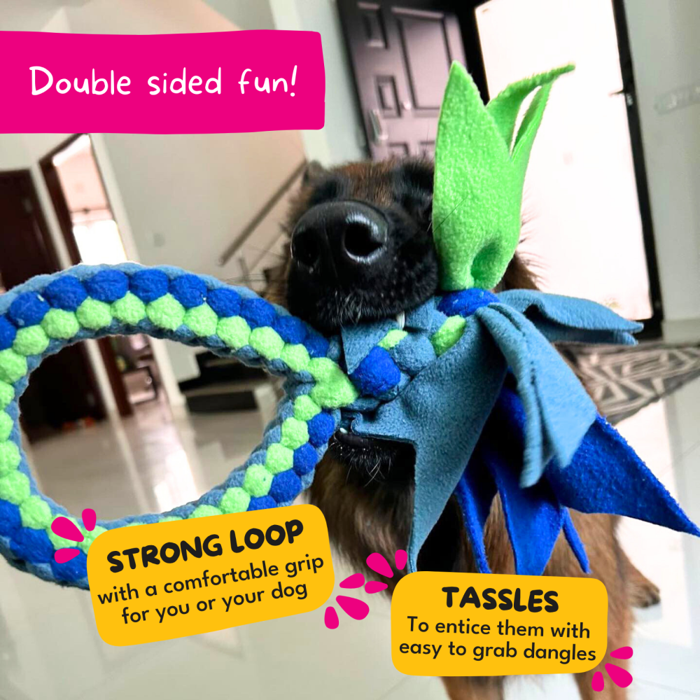 For The Love Of Dog Tug O Loop Toy for Dogs (Blue/Green)