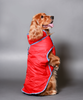 Pet Set Go Wind Sheeter Jackets for Dogs (Red) Dogs-Clothing & Accessories Pet Set Go Dropship