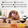 Floofyou Mango Papaya Vegan Oven Baked Cookie Dog Treats Dog Treats + Others FloofYou