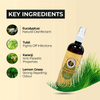 FurBall Story Preven Tick and Flea Spray for Dogs Dogs-Health & Wellness Furball Story