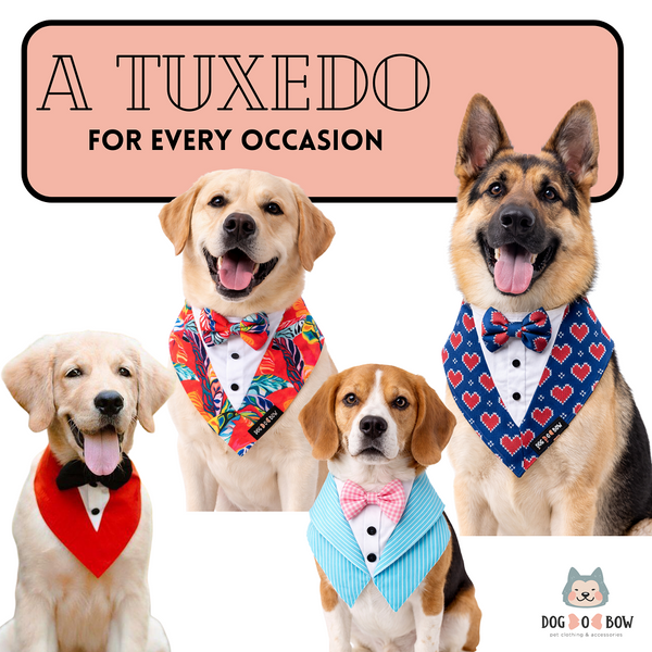 Dogobow Tuxedo Bandana for Dogs (Red) (Get a Bow Free)